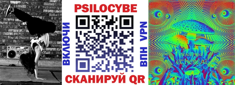 где найти   Сегежа  МЕГА ONION  Псилоцибиновые грибы Psilocybine cubensis 